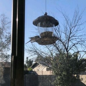 Meet your Posher, S l